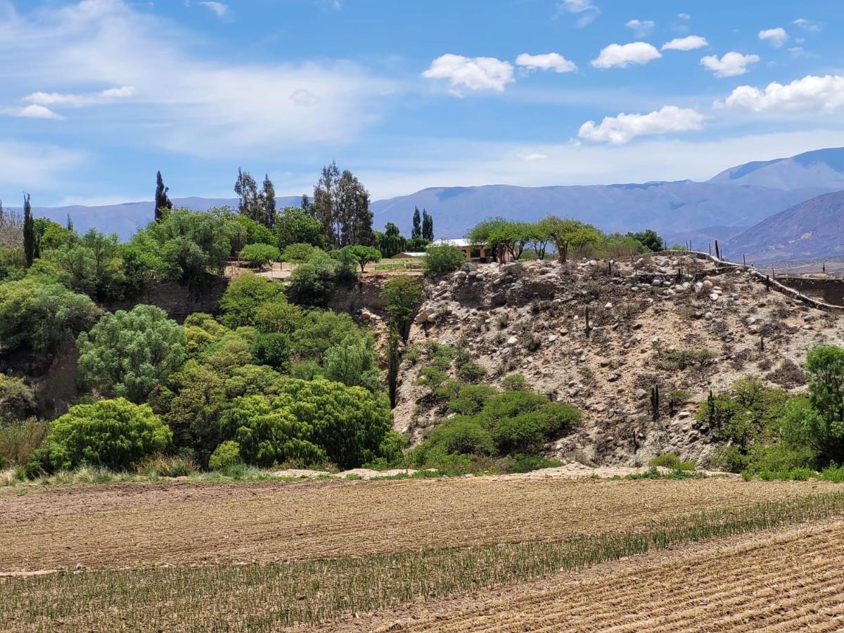 Casa De Campo Huaka Huasy Cachí Exteriör bild